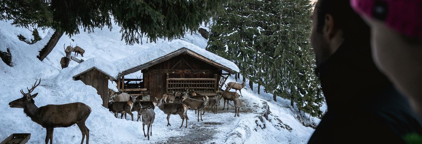 Sneeuwschoenwandelen Val di Peio